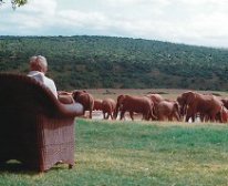 Picture 7/13 - Gorah Elephant Camp