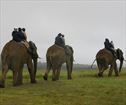 Hitgeheim Country Lodge, Addo Elephant Park Accommodation