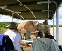 Addo Safari - Hitgeheim Country Lodge