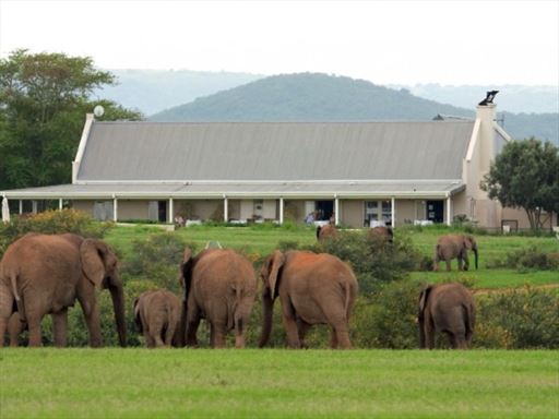 Addo Elephant Park