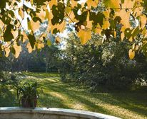  - Halstead Farm Bed and Breakfast