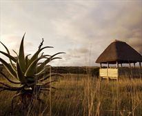  - Hlosi Game Lodge