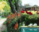 Hopefield Country House & Guest Farm, Addo Accommodation