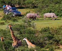  - Nyaru Game Lodge - Garden Route Safaris