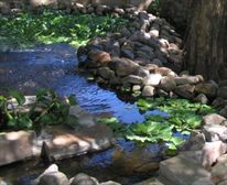 Pond. - Haig House