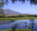 Tantivvey Guest Farm, George Accommodation