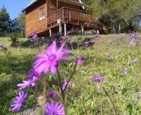 A Stone's Throw B&B, Grahamstown, Sunset View - A Stone's Throw Bed & Breakfast