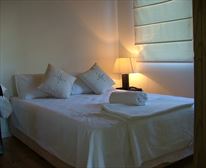 A Stone's Throw B&B, Grahamstown, Tuli our new JackRussel - A Stone's Throw Bed & Breakfast