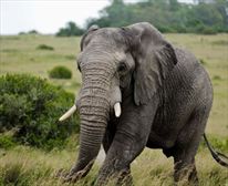  - Kichaka Private Game Lodge