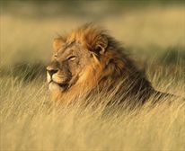  - Kichaka Private Game Lodge