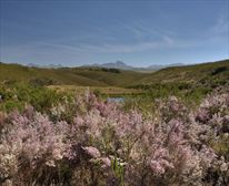  - Gondwana Game Reserve