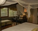 Zululand Tree Lodge, Hluhluwe Accommodation