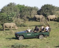 Picture 13/13 - Kariega Game Reserve - The Homestead