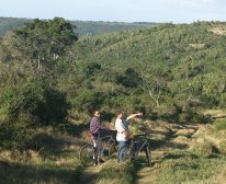Picture 8/13 - Kariega Game Reserve - The Homestead