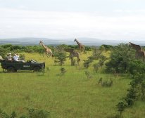 Picture 9/13 - Kariega Game Reserve - The Homestead