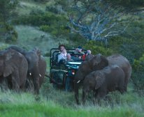 Picture 10/13 - Kariega Game Reserve - Ukhozi Lodge