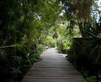  - Bamboo Guest House
