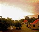 Forest Edge, Knysna Accommodation