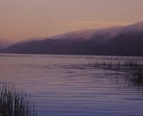  - Lake Pleasant Living