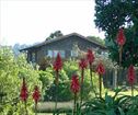 Salt River Lodge, Knysna Accommodation