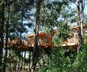 Tenaka Lodge, Knysna Accommodation