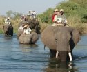 Thorntree River, Livingstone Accommodation