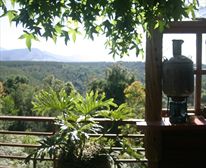  - Wild Spirit Lodge and Backpackers