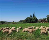  - Die Fonteine Bed & Breakfast