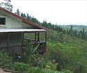 Forest Valley cottages, Knysna Accommodation