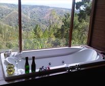 Wild Iris and view. - Forest Valley cottages