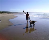 Endless sandy beach.