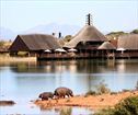 Buffelsdrift Game Lodge, Oudtshoorn Accommodation