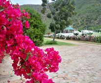  - De Oude Meul Country Lodge