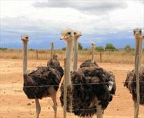  - Mooiplaas Guest House