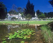 Lilly Pond. - Laird's Lodge Country Estate