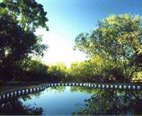  - Moon Shine on Whiskey Creek