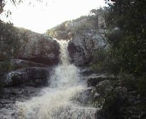 Picture 6/11 - Ruskrans