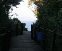 Picture 11/12 - Sea Breeze Inn