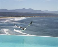  - The Plettenberg