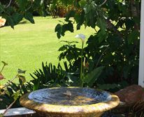 Garden. - Wadrift Nature Reserve
