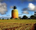 Summerhill Inn, Port Alfred Accommodation