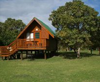 Forest cabin - Ebb & Flow Restcamp  