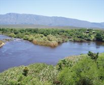 Breede river - Bontebok National Park 'Lang Elsie' Rest Camp