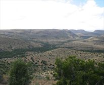 Mountain Zebra Park - Mountain Zebra National Park 