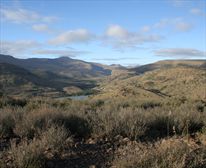 Mountain Zebra Park - Mountain Zebra National Park 