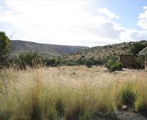 Chalets - Mountain Zebra National Park 