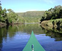 Canoeing on the river away from the sea toward the bridge - Nature's Valley Rest Camp