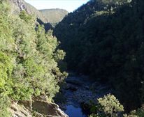  - Nature's Valley Rest Camp