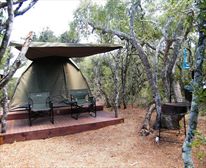 Tent © SANParks.org - Spekboom Tented Restcamp