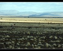 Picture 4/4 - Tankwa Karoo National Park